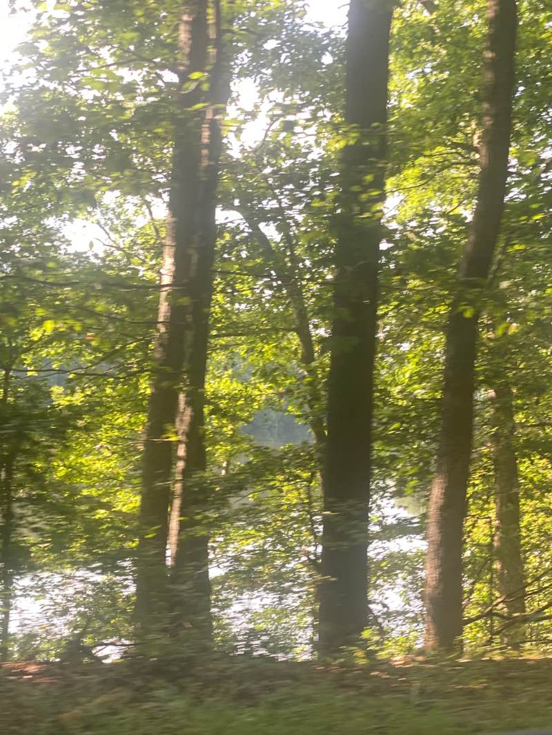 walking near me in Rock Creek Regional Park in autumn