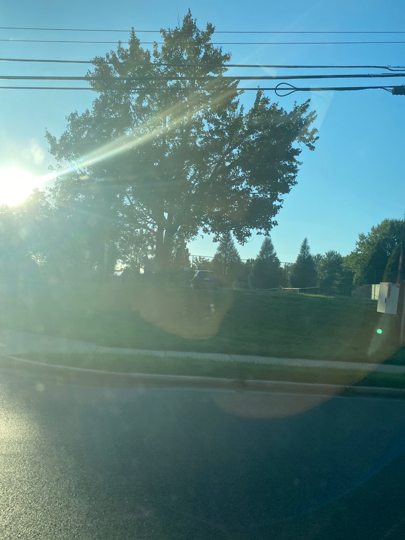 walking near me in Strawberry Knoll Local Park in autumn