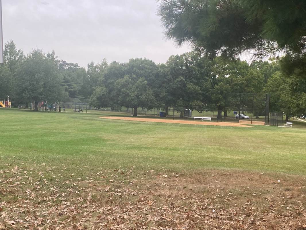 walking near me in Washington Square Neighborhood Park in autumn