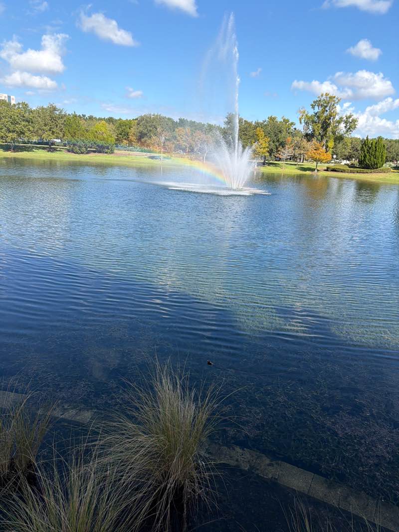 walking near me in Trout Lake Park in autumn