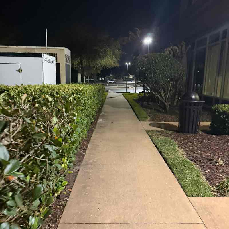 Matt Maldonado post 1