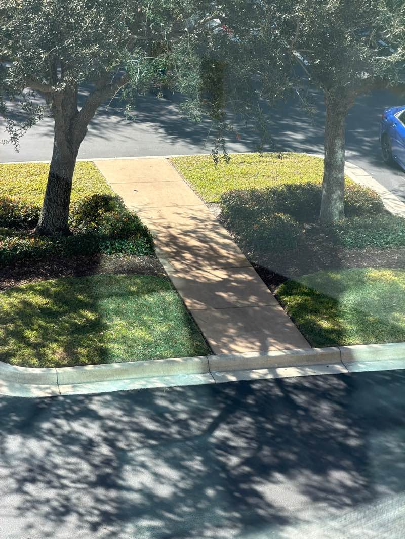 walking near me in Trout Lake Park in winter