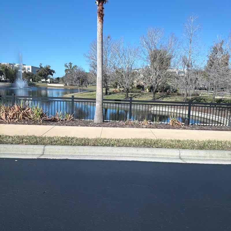 Matt Maldonado post 1