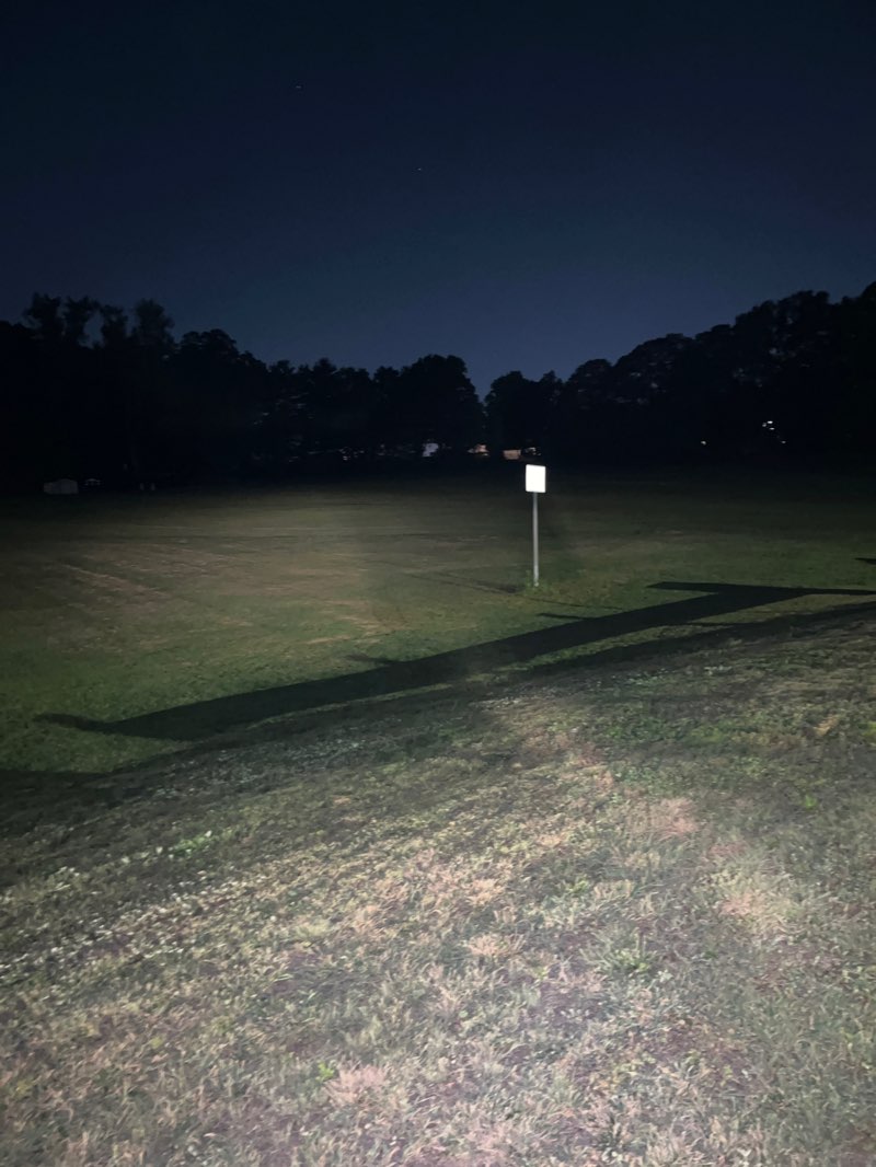 walking near me in Elizabeth Shea Park in autumn