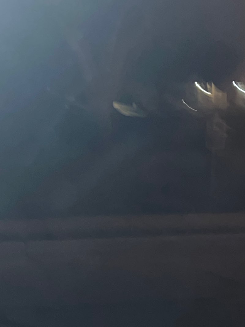 walking near me in Sarah's Creek Park in autumn