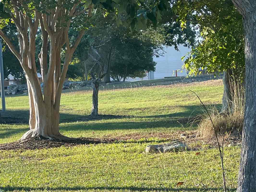 walking near me in Round Rock West Park in autumn