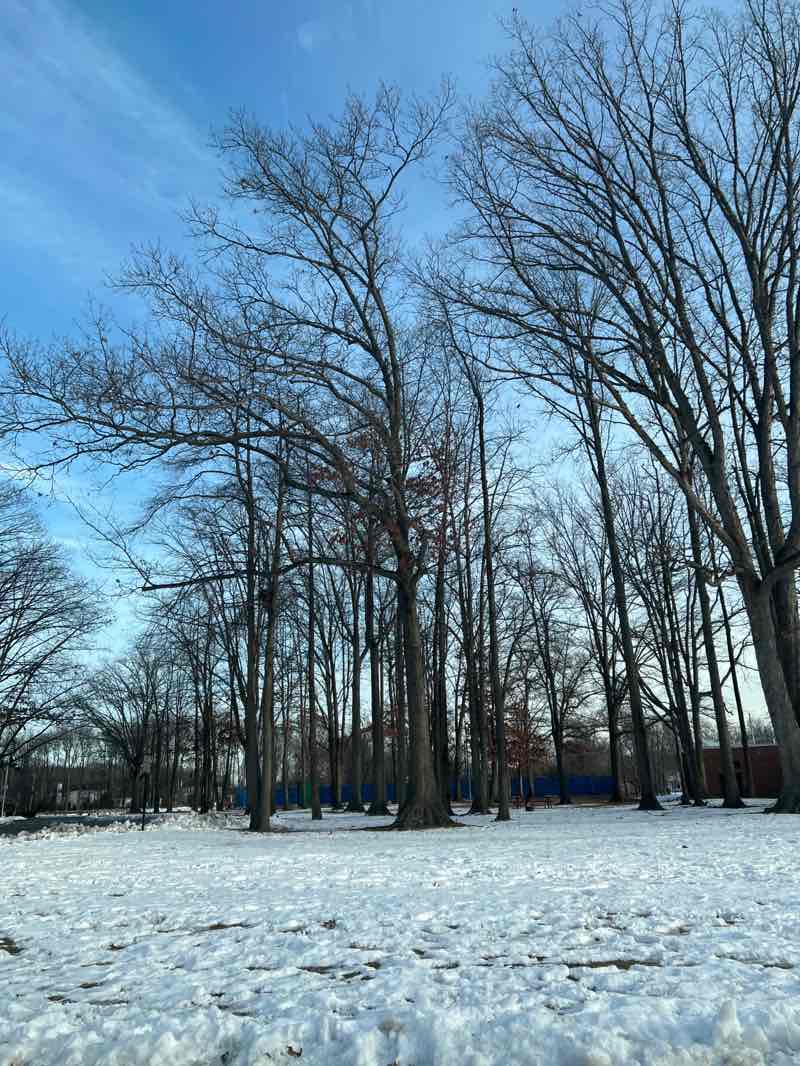walking near me in Veteran's Park in winter