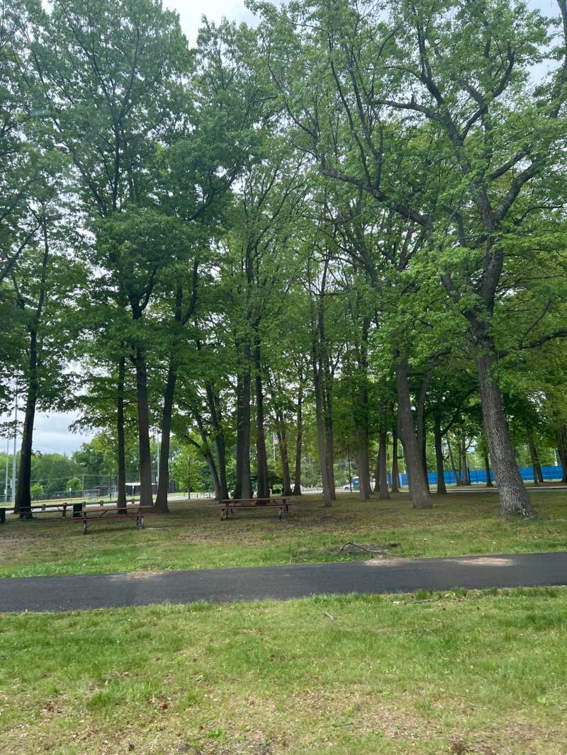 walking near me in Veteran's Park in spring