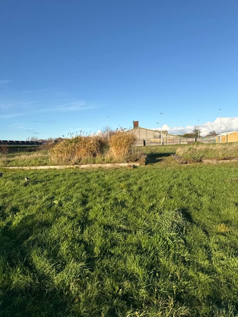 walking near me in Kensington Park in autumn
