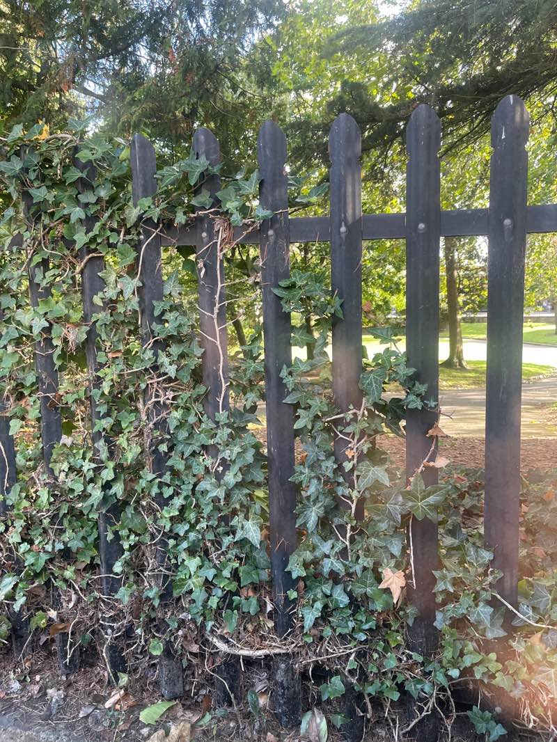 walking near me in Ravenscroft Park in autumn