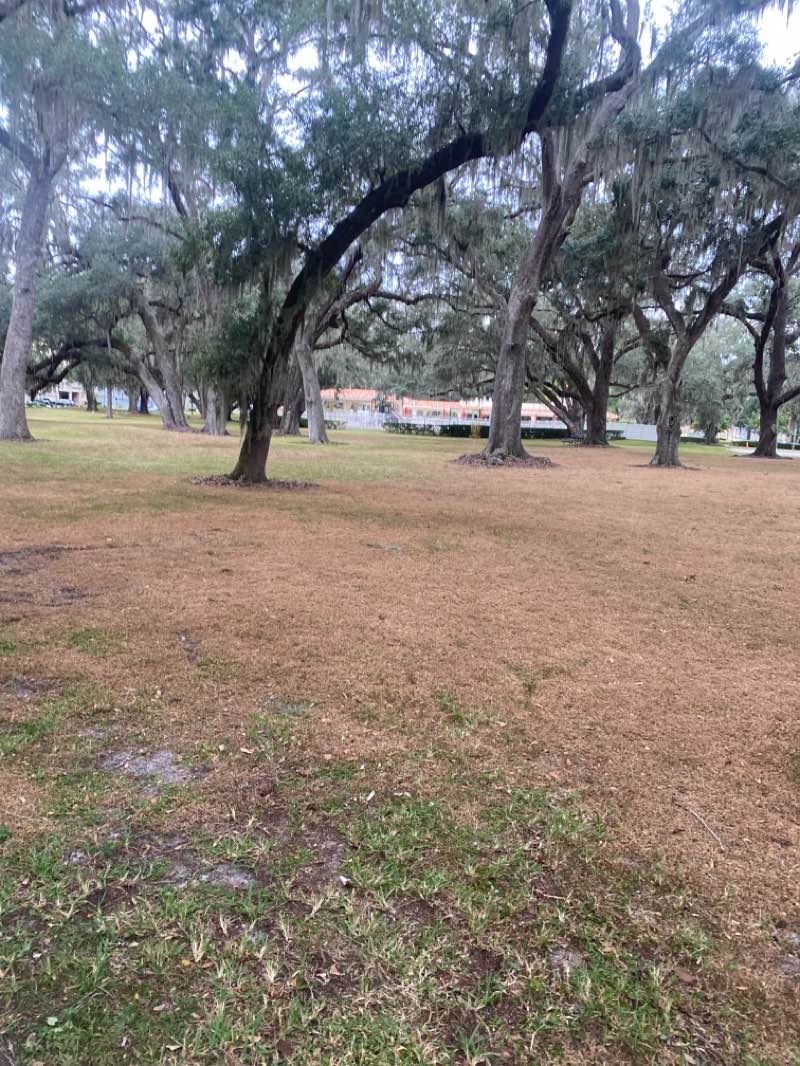 walking near me in Stagecoach Community Park in autumn