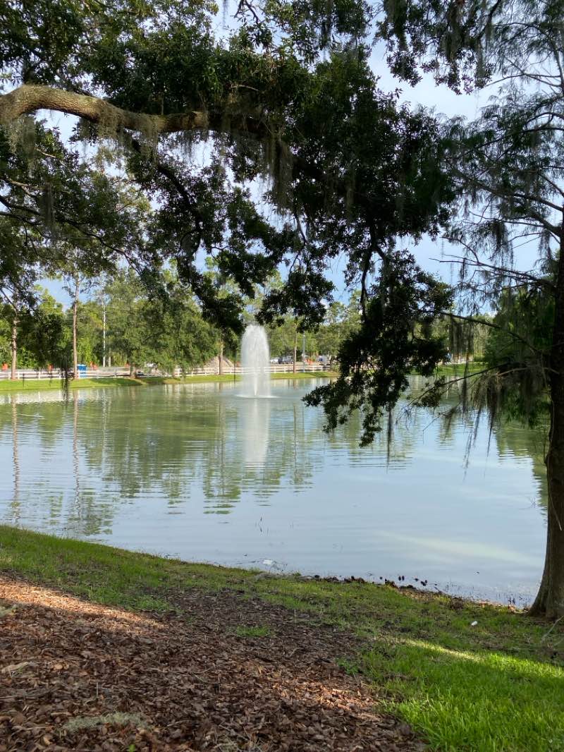 walking near me in Cypress Creek Preserve in summer