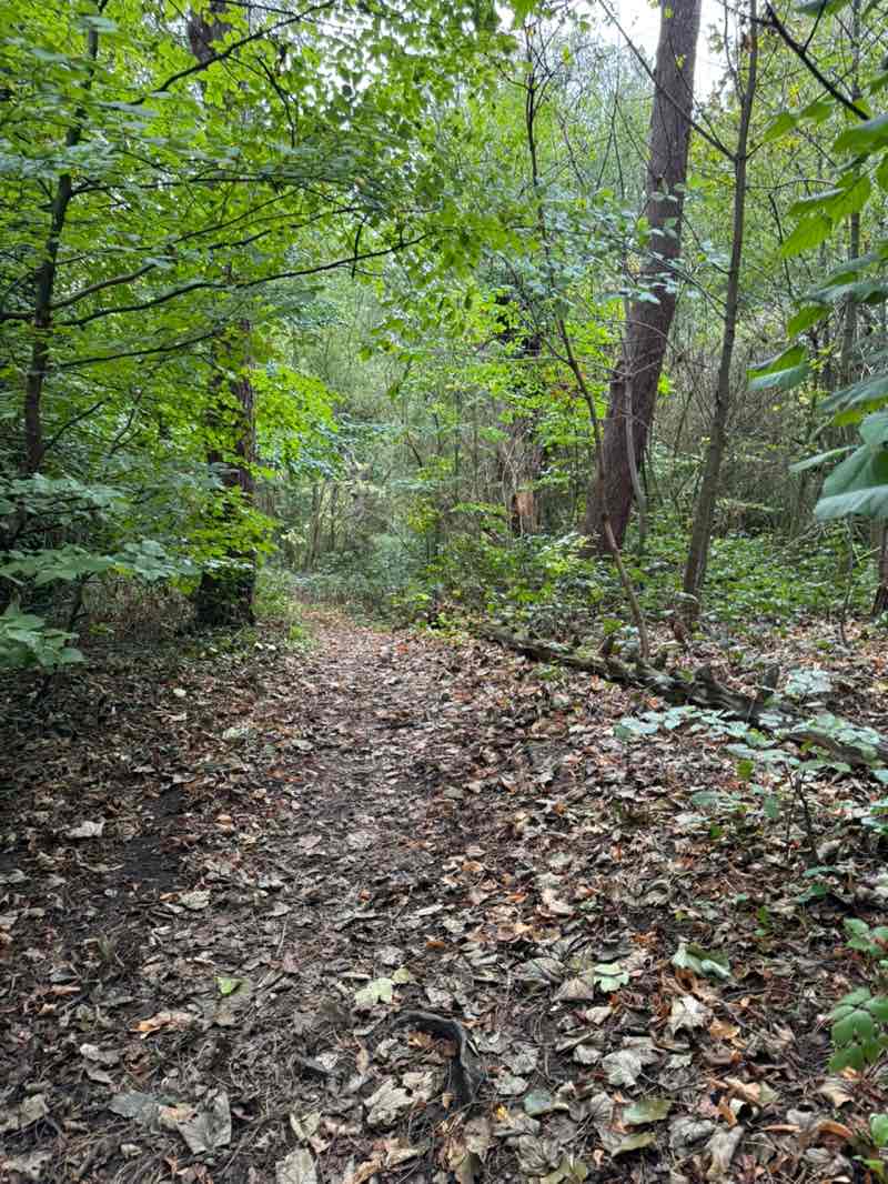 walking near me in Croxteth Park in autumn