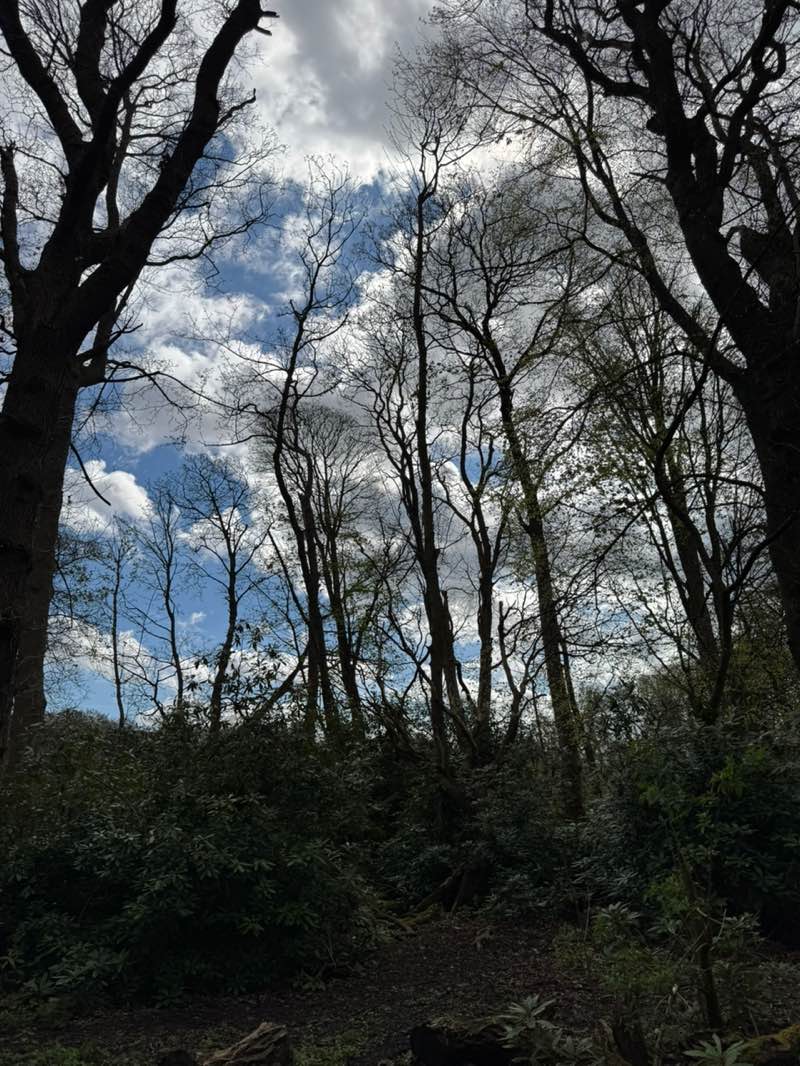 walking near me in Croxteth Park in spring