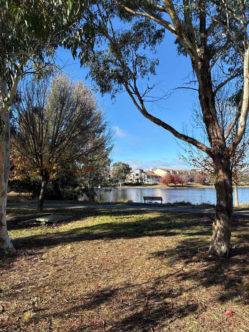 walking near me in Yerrabi Pond District Park in winter