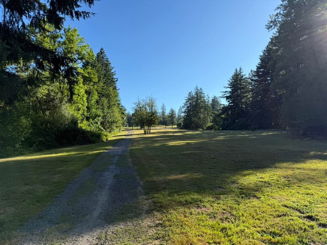 walking near me in Eldridge Park in summer