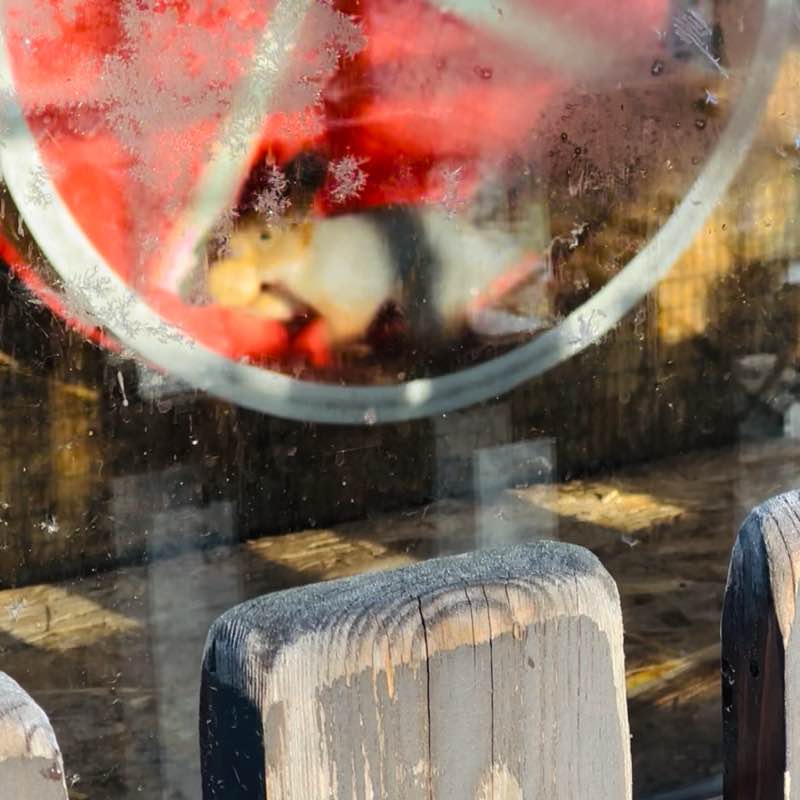 Шагаем к цели! Екатерина Курганова post image