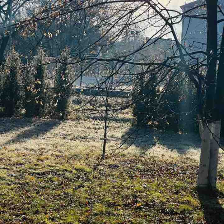 Шагаем к цели! Екатерина Курганова post image