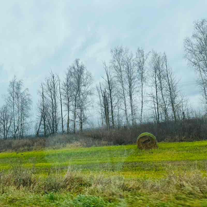 Шагаем к цели! Екатерина Курганова post image