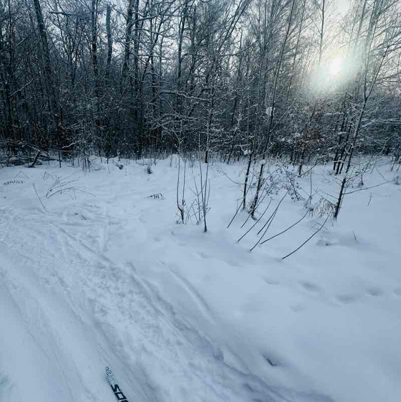 Шагаем к цели! Шагаем к цели! post image