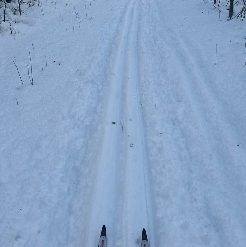 Шагаем к цели! Екатерина Курганова post image