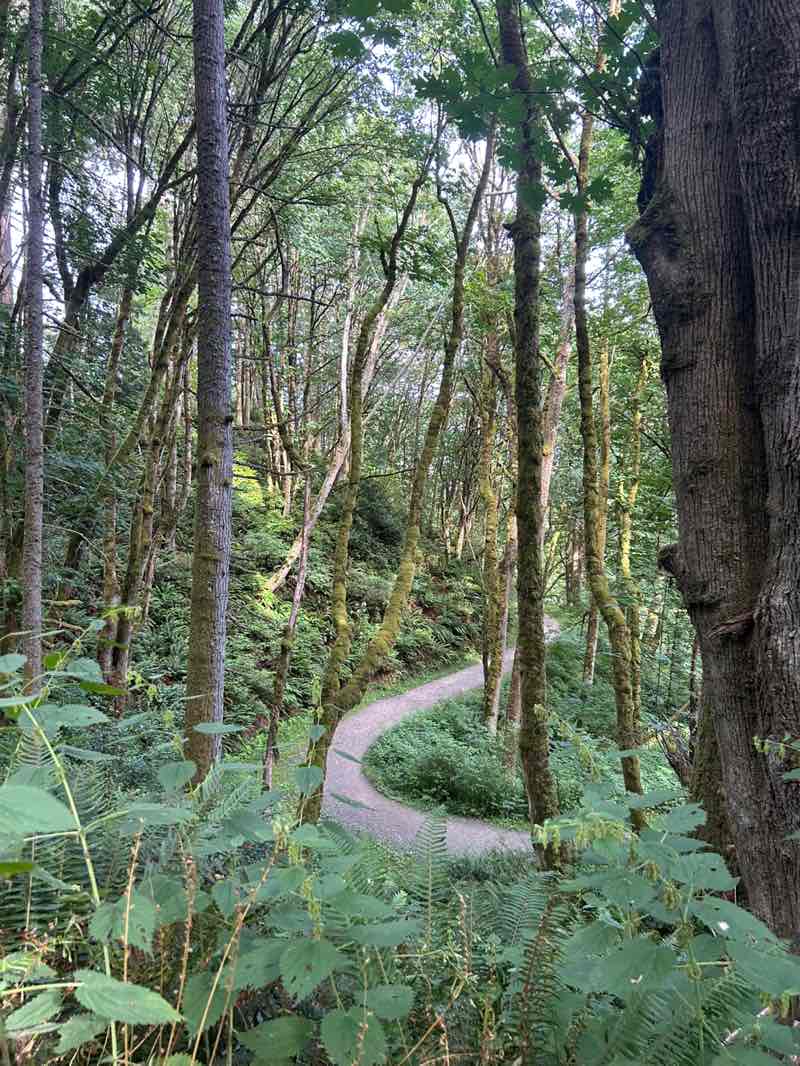 walking near me in Anderson Point Park in summer