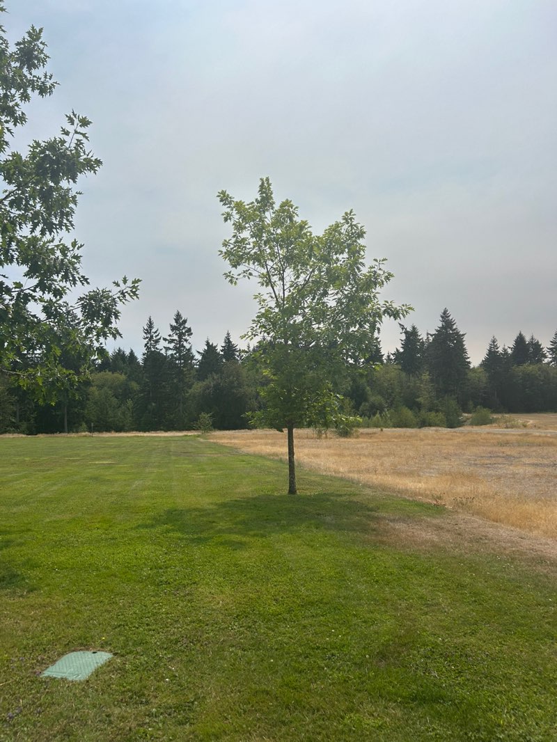 walking near me in Shaw Park in autumn