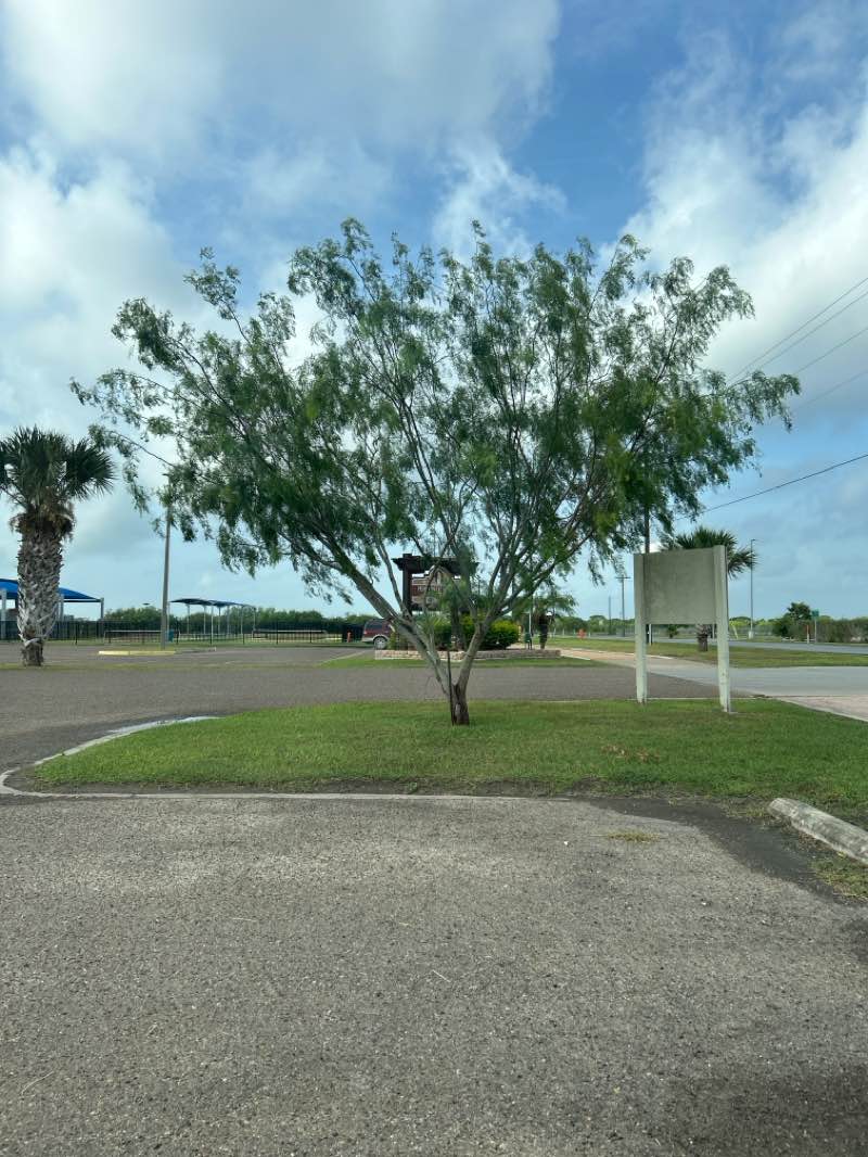 walking near me in Pedro Benavides County Park in summer