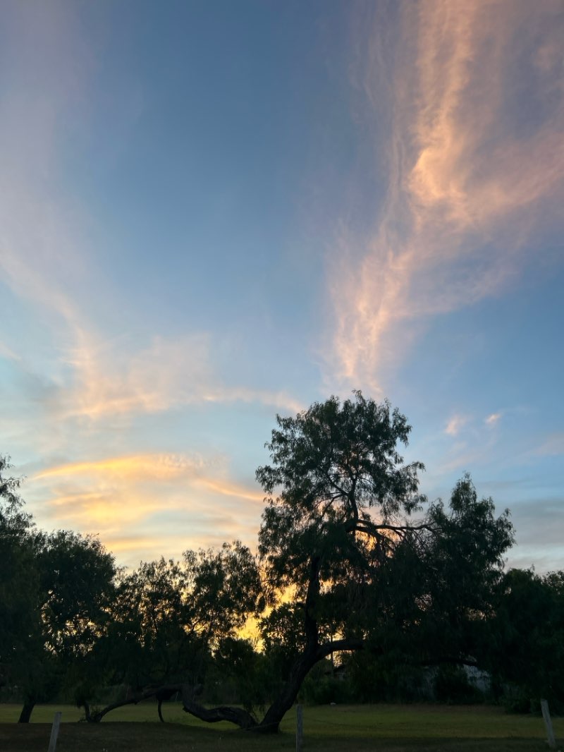 walking near me in Morningside Park in autumn