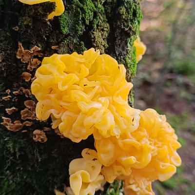 Les Jardins JimPan post image