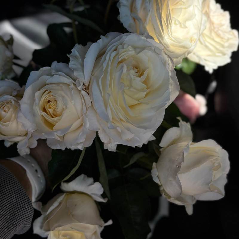 Товарищ Храмов Вера Сабурова post image