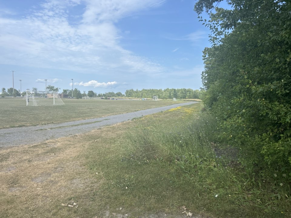 walking near me in John Machin Park in autumn