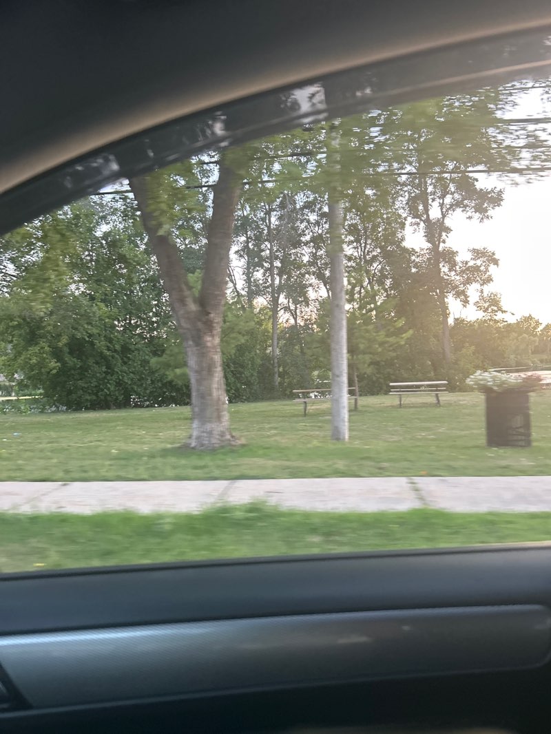 walking near me in Kinsmen Community Park in autumn