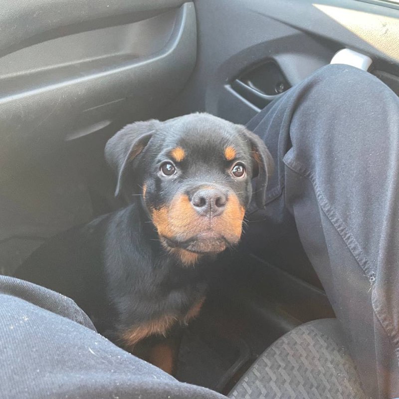 Антон Чикунов profile