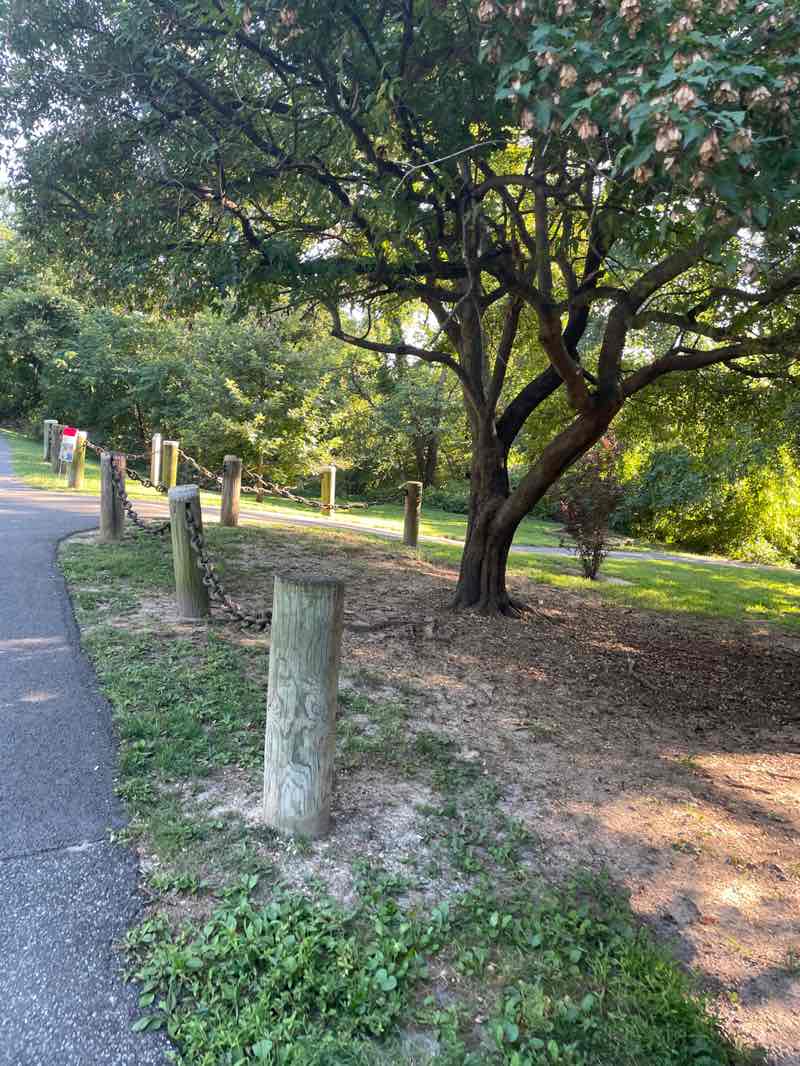 walking near me in Mariner Point Park in autumn