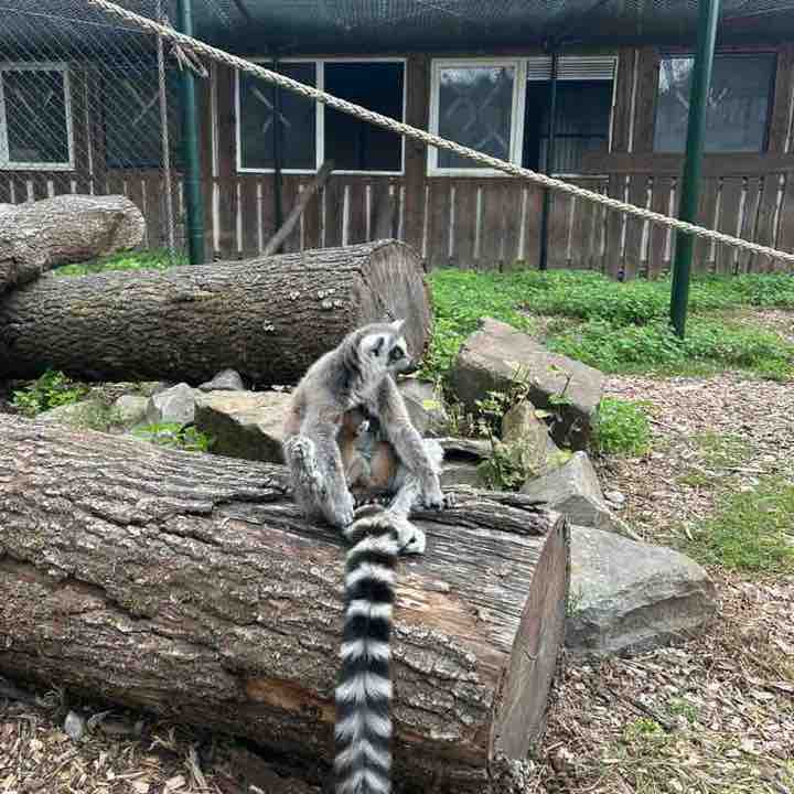 De Houtjes hendrikavh post image