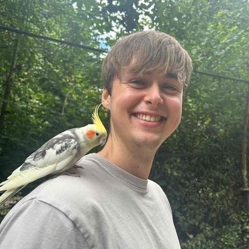 De Houtjes hendrikavh post image