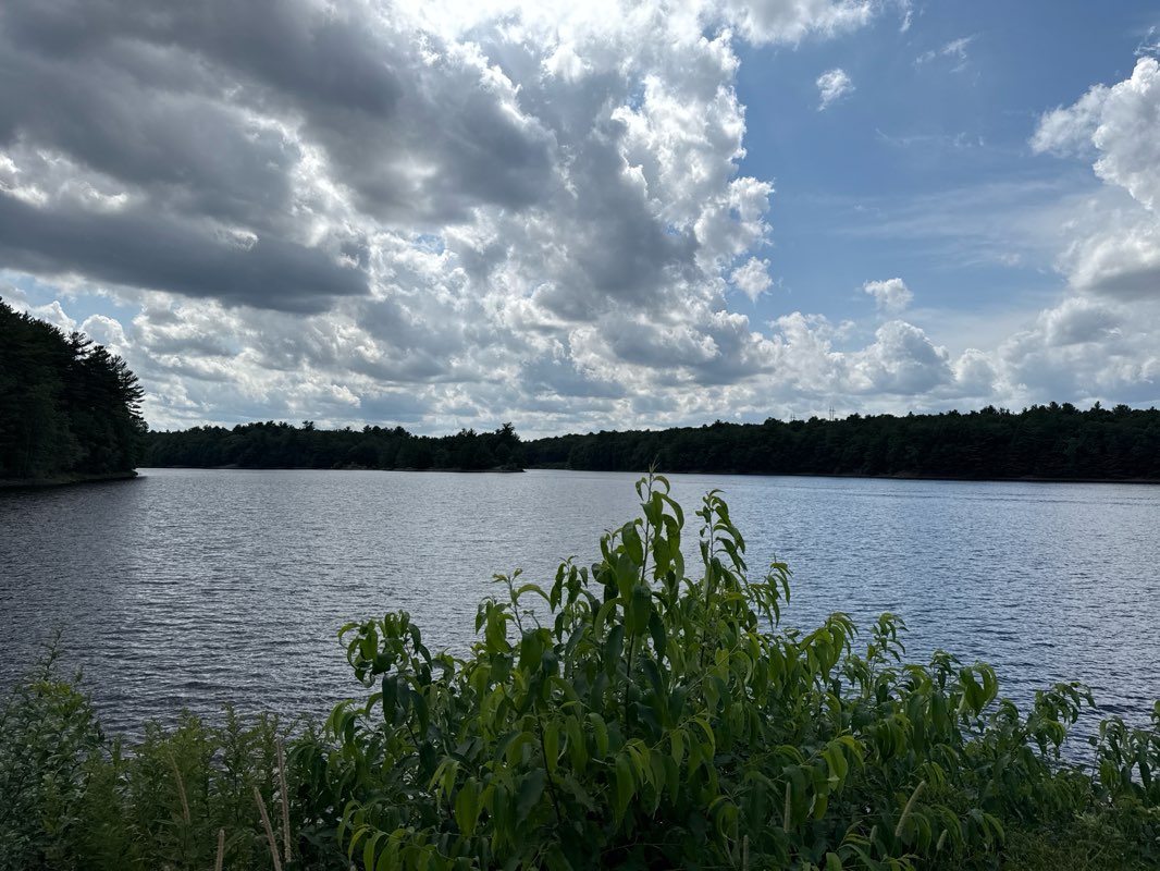 walking near me in Mill Pond Reservation Land in autumn