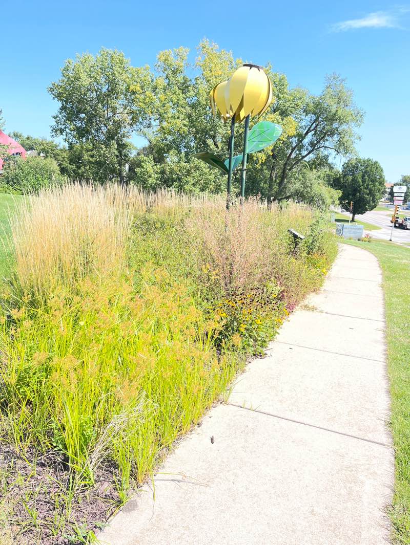 walking near me in Learning Campus in autumn