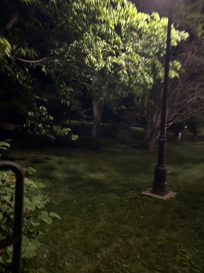 walking near me in Richland Avenue Park in summer