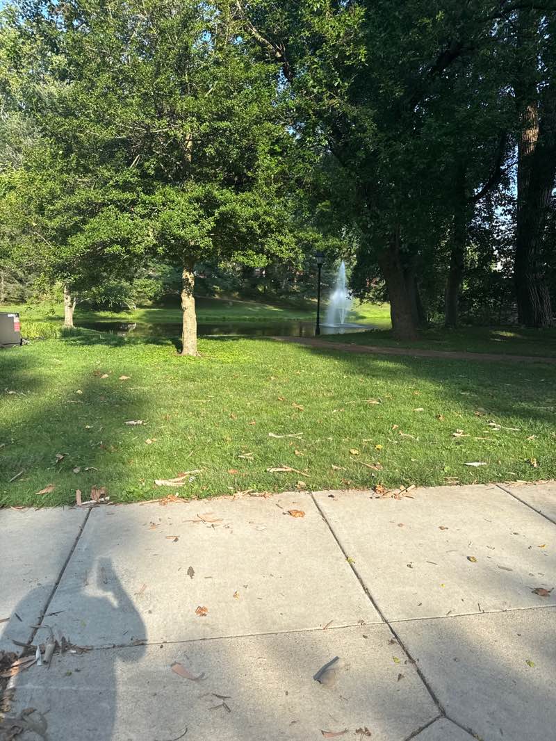 walking near me in Emeriti Park in summer