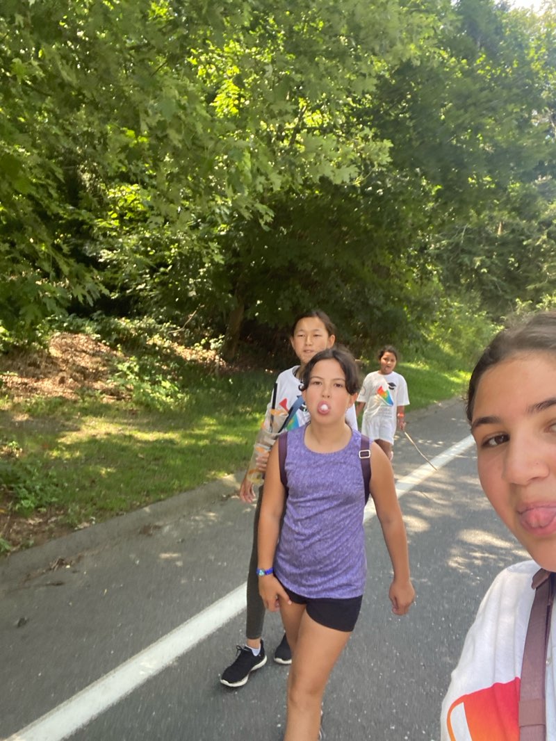 walking near me in Upper Vine Brook Conservation Area in summer