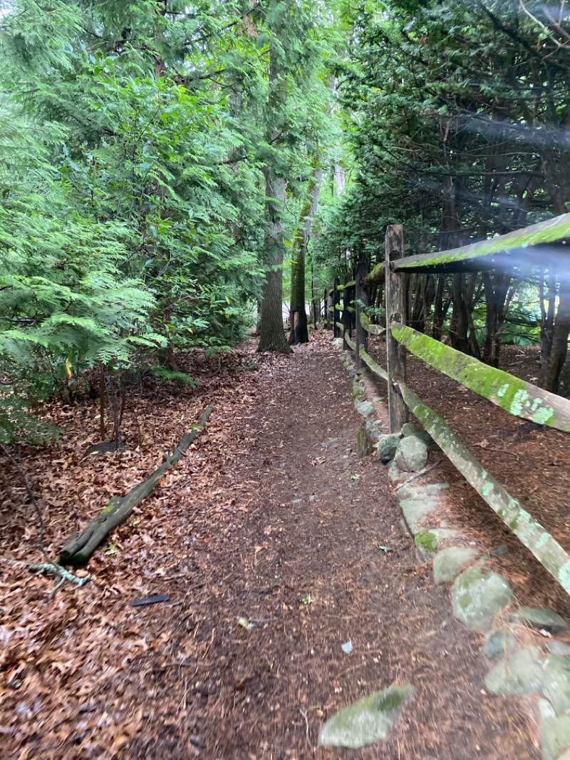 walking near me in Daisy Wilson Meadow in autumn