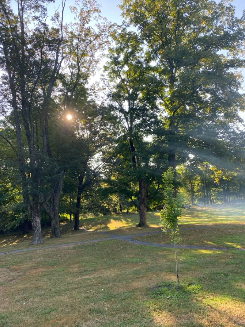 walking near me in Tower Park in autumn