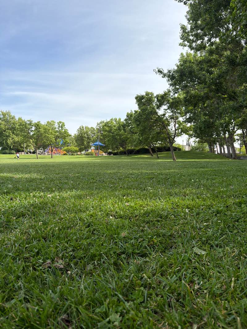 walking near me in Vintage Green Valley Park in spring