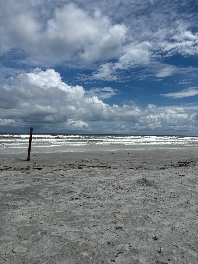 walking near me in Marianne Clancy Park in autumn