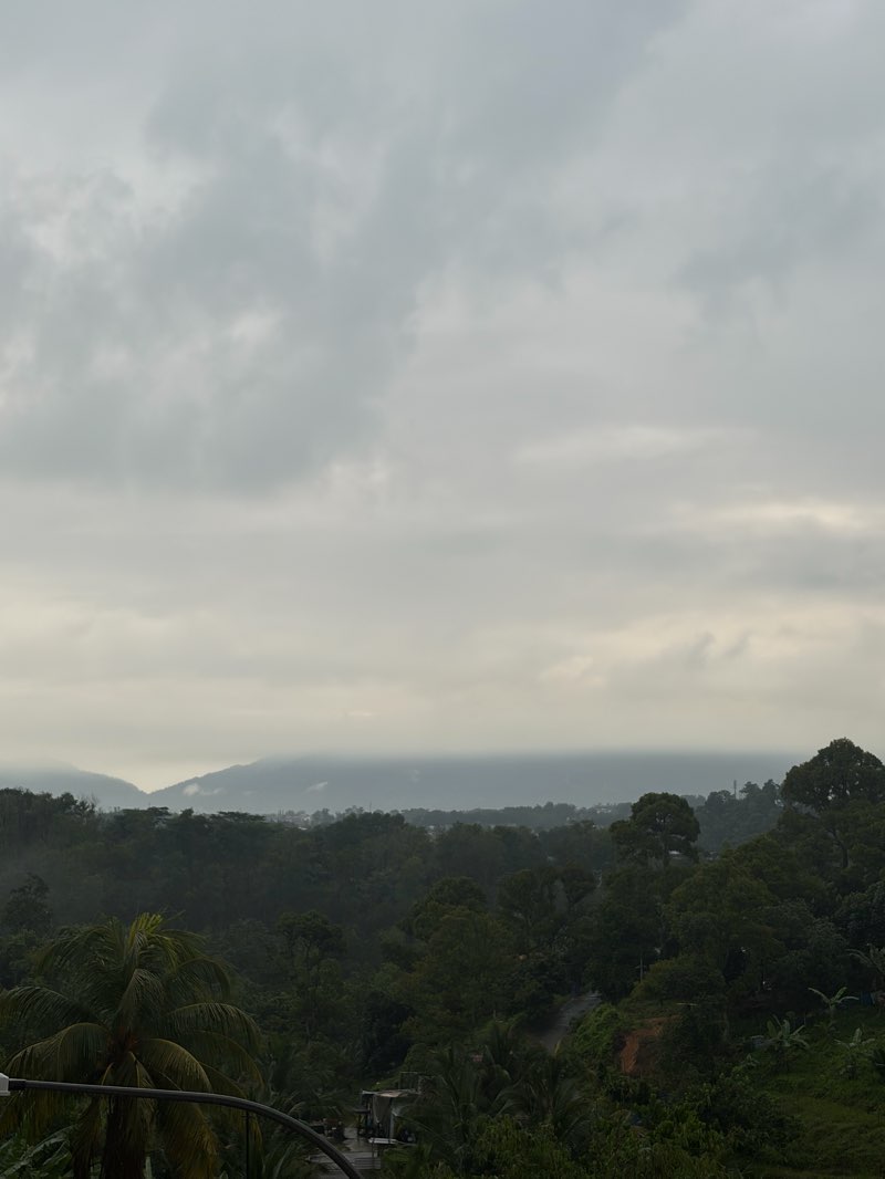 walking near me in S2 City Park in winter