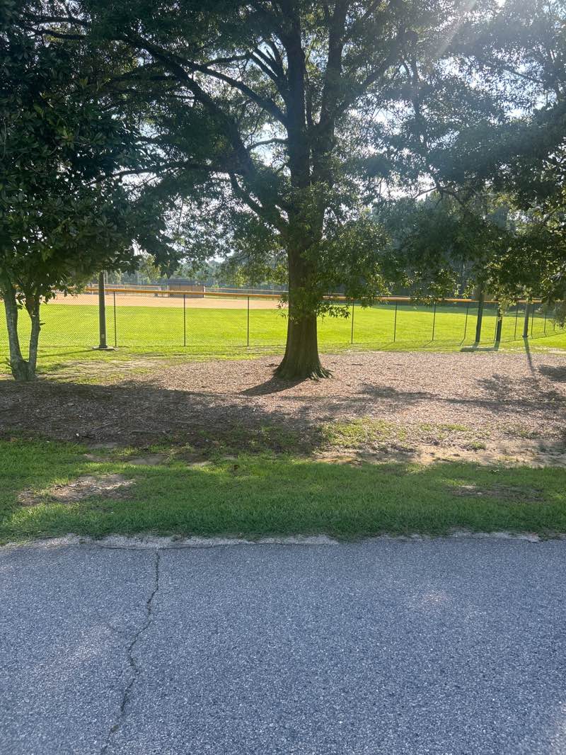 walking near me in Action Park in summer