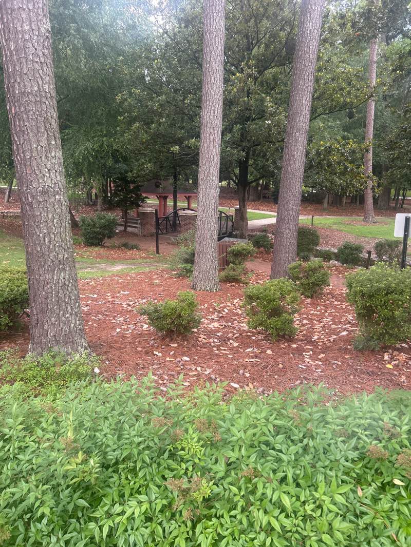 walking near me in Mineral Spring Park in summer