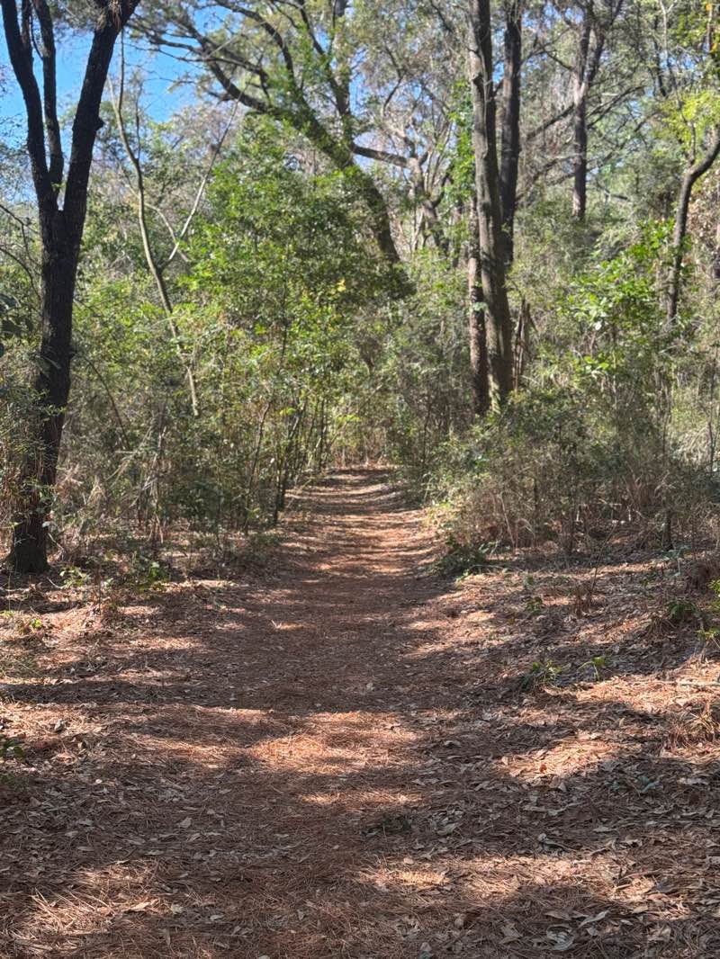 walking near me in Medal of Honor Park in spring